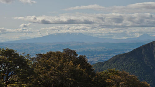 Ruapehu and Ngauruhoe, from the Hikurangi Range