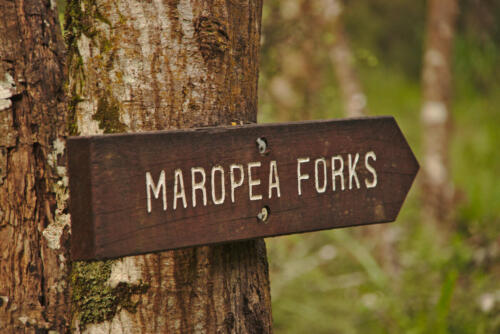Old track sign near Maropea Forks