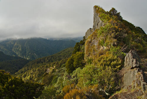 Rock formation near Pōtae